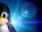 Linux - Pinguin 2