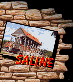 Saline