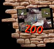 Zoo